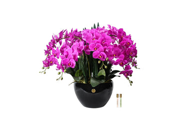 Luxury Giant Orchid Bouquet - Ceramic Pot - Fuchsia - GO09 (Carton of 1)